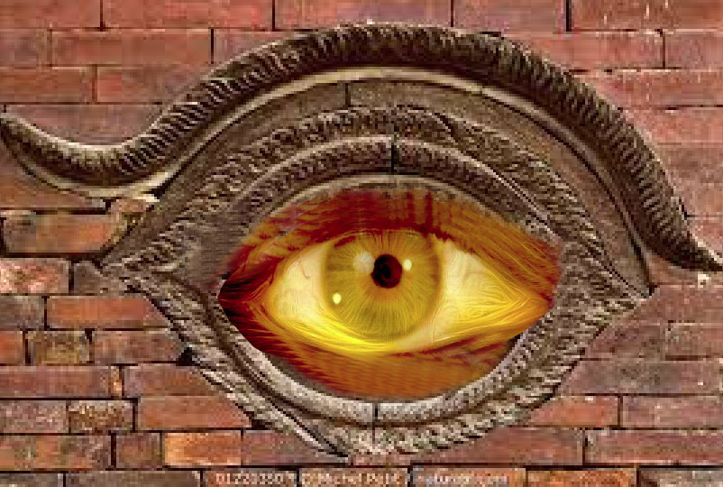 seeingeye